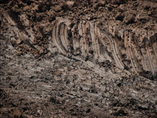 淤泥地质_恒祥宏业